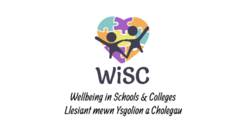Webinar: The Well-being in Schools and Colleges (WiSC) Study