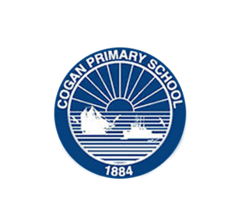 Case Study: Building Brighter Futures - How Cogan Primary School Uses SHRN Data to Empower Year 6 School Leavers