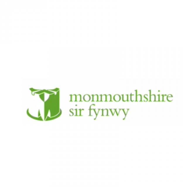 Case Study: Empowering Schools Through SHRN - The Role of Monmouthshire WNHWPS